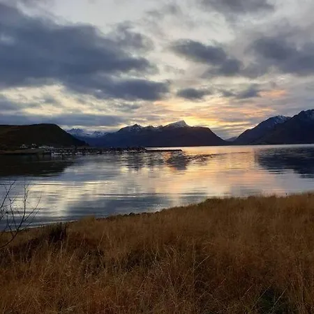 Romslig Midt I Lofoten Appartamento Leknes