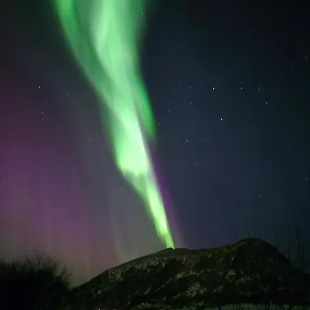 Romslig Midt I Lofoten 公寓