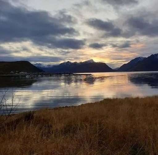 Romslig Midt I Lofoten アパート レクネス