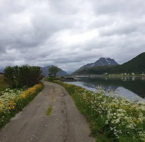 Romslig Midt I Lofoten * レクネス